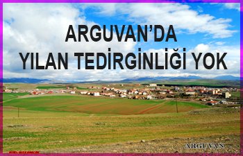 ARGUVAN’DA YILAN TEDİRGİNLİĞİ YOK  