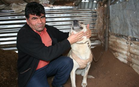 ÇOBAN KÖPEĞİNİ VURAN KİŞİ HAKKINDA SAVCILIĞA SUÇ DUYURUSUNDA BULUNDU  