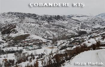 ÇOBANDERE KÖYÜNDEN DİLFURUZ GÜLER VEFAT ETTİ.