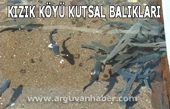 KIZIK KÖYÜ VE BALIKLARI CUMA GÜNÜ SAMANYOLU TV YAYINLANACAK