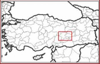 TÜRKİYEDE KAÇ MALATYALI VAR