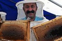 OVACIKTAN KOMÜNİST BALI