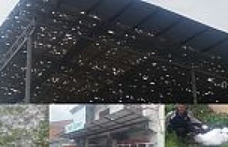 ARGUVANDA YAĞMUR VE DOLU HAYATI OLUMSUZ ETKİLEDİ