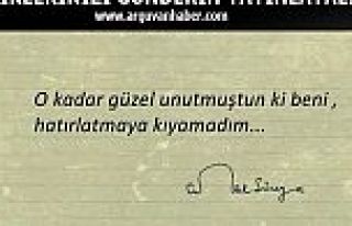 ŞİİR BÖLÜMÜ AÇILDI-ŞİİRLERİNİZİ GÖNDERİN...