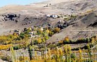 ASMACA MAHALLESİNDEN CEMİLE YILDIZ HAYATINI KAYBETTİ