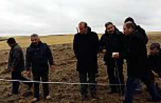 BÜYÜKŞEHİR BELEDİYESİ ARGUVAN’DA LAVANTA BAHÇESİ...