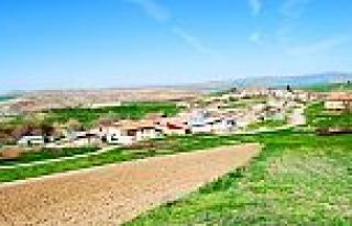 MORHAMAM MAHALLESİNDEN ZEKİ BERKTAŞ HAYATINI KAYBETTİ