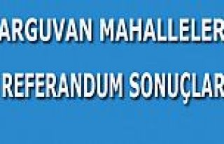 ARGUVAN MAHALLELERİNİN REFERANDUMDA OY DAĞILIMI
