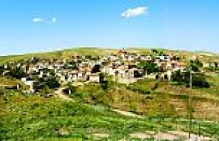 İSAKÖYÜNDEN ALİ İHSAN ALP HAYATINI KAYBETTİ