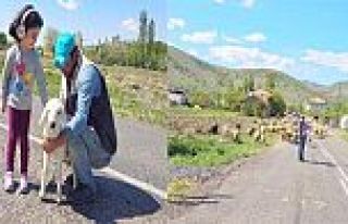 Arguvan’da Yayla Sezonu Başladı