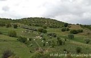 GÖÇERUŞAĞI MAH. NAZLI DEMİR HAYATINI KAYBETTİ