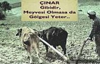 BABALAR GÜNÜNÜZ KUTLU OLSUN