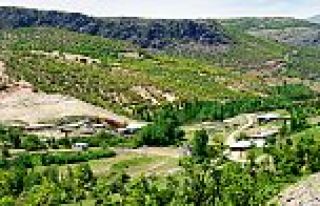 ŞOTİK MAH. HATUN KARASOY HALPUZDA HAYATINI KAYBETTİ