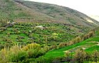 KONAKBAŞI SİNEMİ MEZRASINDAN SULTAN VAROL HAYATINI...