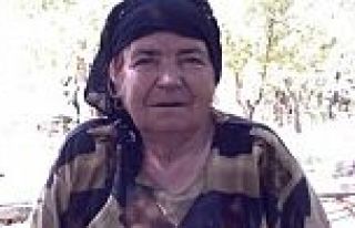 BOZAN MAH. ZÖHRE YILMAZ HAYATINI KAYBETTİ  