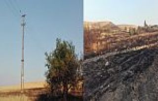 İSAKÖYDE EKİLİ ARAZİDE YANGIN ÇIKTI