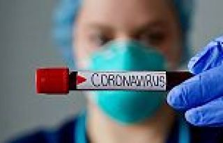 Arguvan'da Corono virüs (COVİD 19) vakaları...