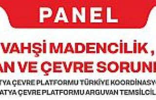 ARGUVAN’DA VAHŞİ MADENCİLİK İNSAN VE ÇEVRE...