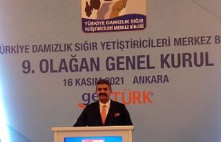 MALATYA DAMIZLIK SIĞIR YETİŞTİRİCİLERİ BİRLİĞİ...