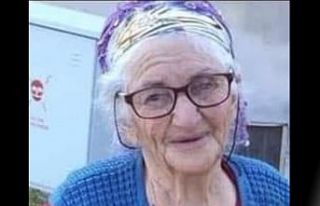 AKÖREN MAH. SATI KARAKUŞ HAYATINI KAYBETTİ