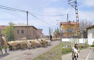 Arguvan'da yayla sezonu başladı