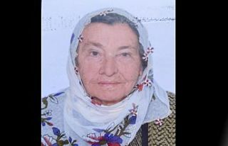 ARGUVAN MERKEZDEN HATİCE YILDIZ HAYATINI KAYBETTİ