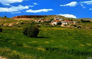 DOYDUM MAH. CUMALİ KAYA HAYATINI KAYBETTİ