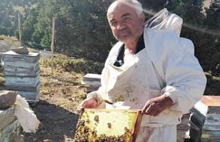 Arguvan'da Bal Hasadı başladı