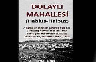 DOLAYLI MAHALLESİ (HALPUZ KÖYÜ) TANITIM KİTABI...