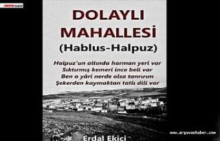 ARGUVAN-HALPUZ (DOLAYLI) TARİHİ ÇALIŞMASI ÜZERİNE...