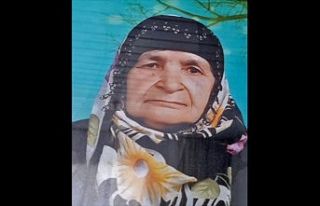 ŞOTİK MAH. HATİCE DAŞDÖĞEN HAYATINI KAYBETTİ