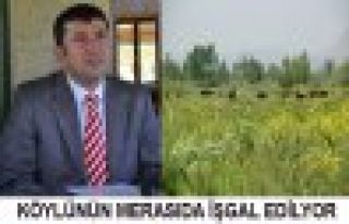 AKÇADAĞDA KÖYLÜNÜN SULU VE TARIMA ELVERİŞLİ...