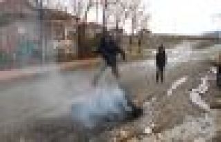ARGUVAN’DA HZ. ALİ'NİN DOĞUMU VE NEVRUZ BAYRAMI...