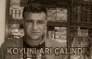ARGUVAN'DAKİ HIRSIZLIK OLAYLARININ ÜZERİNE GİDİLMELİ...