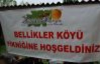 BELLİKLER KÖYÜ DERNEĞİ PİKNİĞİ 2 HAZİRANDA