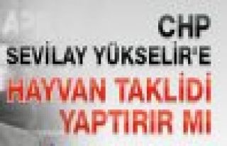 CHP'NİN OY ORANI %24 ÜSTÜNDE OLURSA HAYVAN TAKLİDİ...