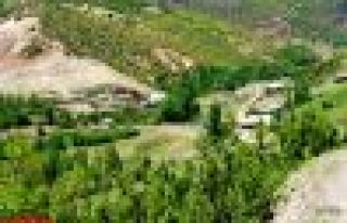 ÇOBANDERE MAHALLESİNDEN ECE KARASOY HAYATINI KAYBETTİ