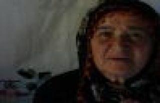 ÇOBANDERE MAHALLESİNDEN GÜLLER BAŞIBÖYÜK HAYATINI...