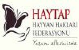 HAYVAN HAKLARI FEDERASYONU 7. ULUSAL TEMSİLCİLER...