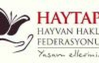 HAYVAN HAKLARI FEDERASYONU MALATYA İL TEMSİLCİSİNİN...
