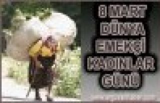 KADINLAR YİNE UNUTULDU