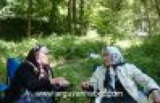 KÖMÜRLÜK VE KURUTTAŞ KÖYÜ ORTAK PİKNİĞİ...