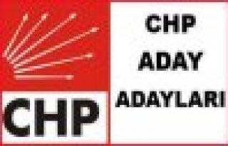 MALATYA CHP MİLLETVEKİLİ ADAY ADAYLARI 