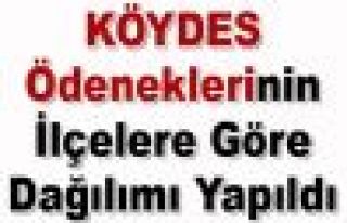 MALATYA'YA KÖYDES PROJELERİ İÇİN AYRILAN ÖDENEK...