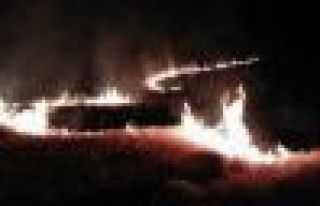MORHAMAMDA 50 DÖNÜMLÜK EKİNİ HASAT EDİLMİŞ...