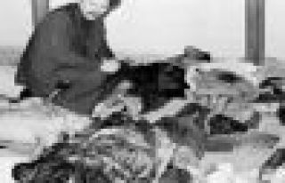 SIRRI SÜREYYA ÖNDER'İN MARAŞ KATLİAMI YAZISI 