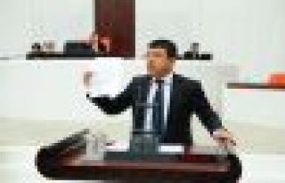 TRT’YE, TÜRKÜ FESTİVALİ ELEŞTİRİSİ