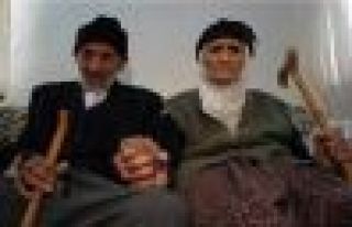 YAZIBAŞI KÖYÜNDEN ELİF ADIGÜZEL HAYATINI KAYBETİ...