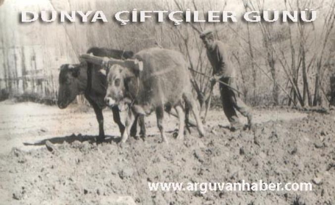 DÜNYA ÇİFTÇİLER GÜNÜ